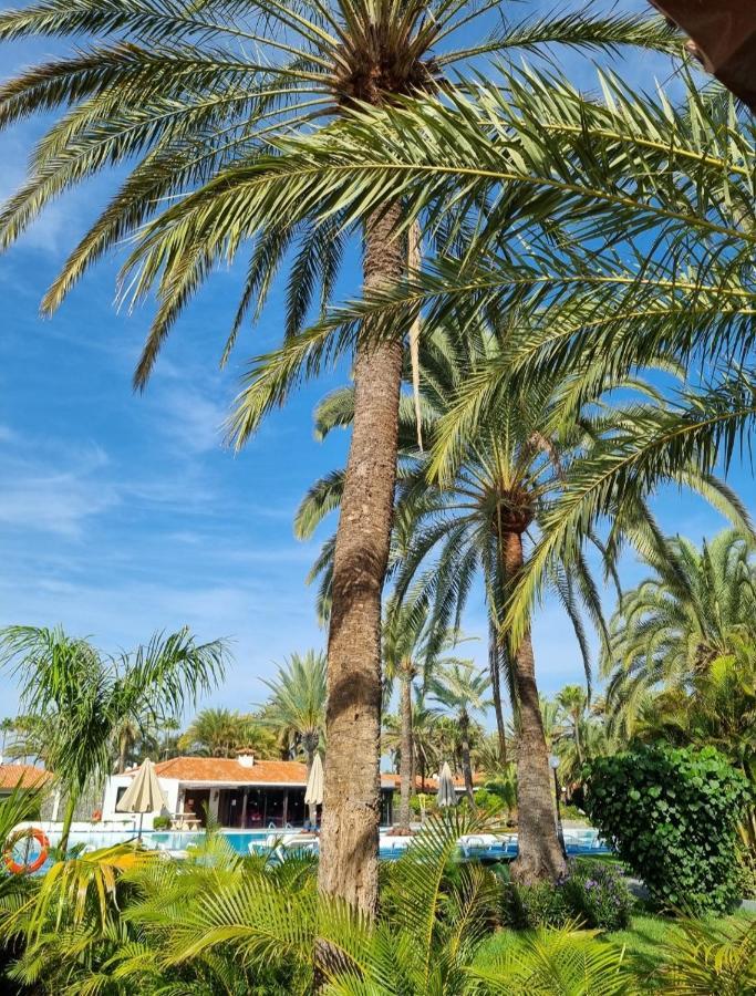 Sun Club P65 Premium Bungalow Maspalomas  Ngoại thất bức ảnh