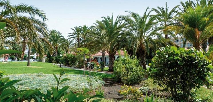 Sun Club P65 Premium Bungalow Maspalomas  Ngoại thất bức ảnh